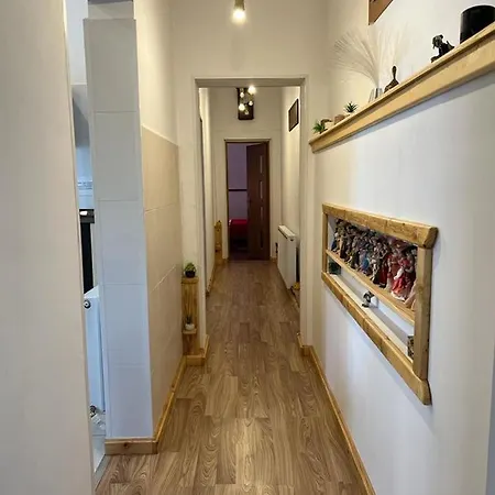 Ferienwohnung Casa Corina Vişeu de Sus Exterior foto