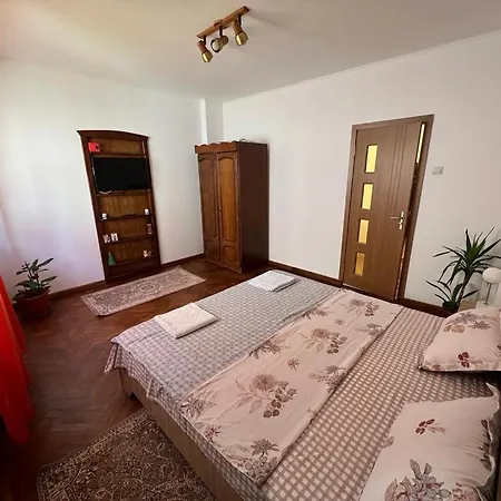 Ferienwohnung Casa Corina Vişeu de Sus Exterior foto