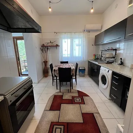Ferienwohnung Casa Corina Vişeu de Sus Exterior foto