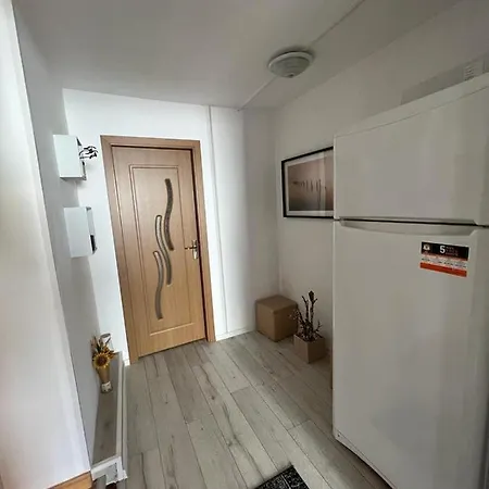Ferienwohnung Casa Corina Vişeu de Sus Exterior foto