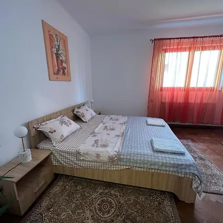 Ferienwohnung Casa Corina Vişeu de Sus Exterior foto