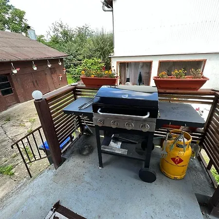 Ferienwohnung Casa Corina Vişeu de Sus Exterior foto