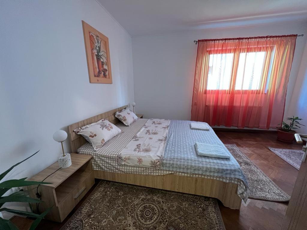 Casa Corina * Viseu de Sus
