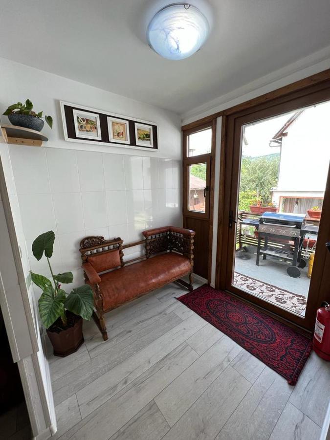 Casa Corina Apartment Viseu de Sus