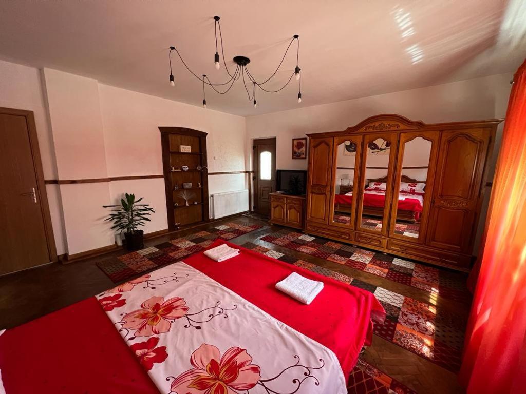 Apartment Casa Corina Viseu de Sus